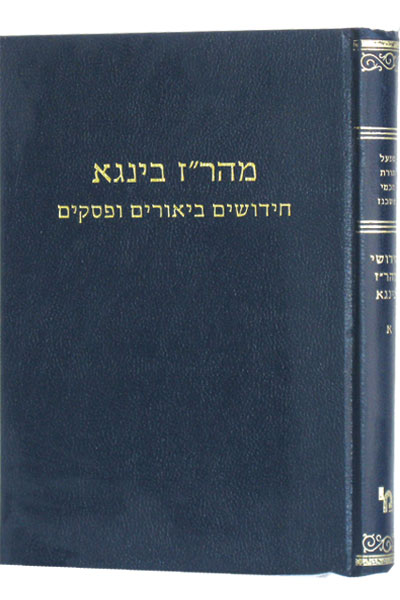 חידושים ביאורים לר"א זליגמן בינגא