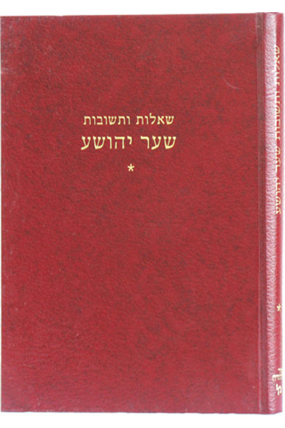 שו"ת שער יהושע ח"א